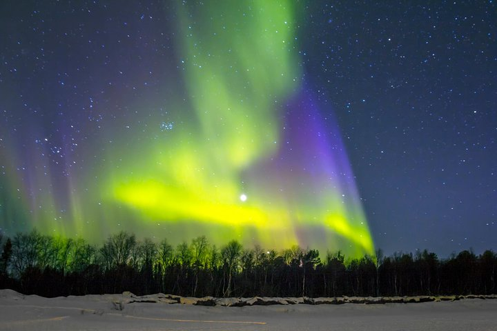 Northern Lights and Chena Hot Springs Tour from Fairbanks